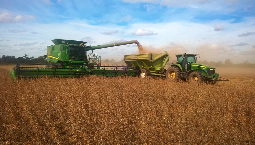 La Bolsa de Rosario  abrió el período de recepción del Primer Lote de Soja de la campaña 2025/26