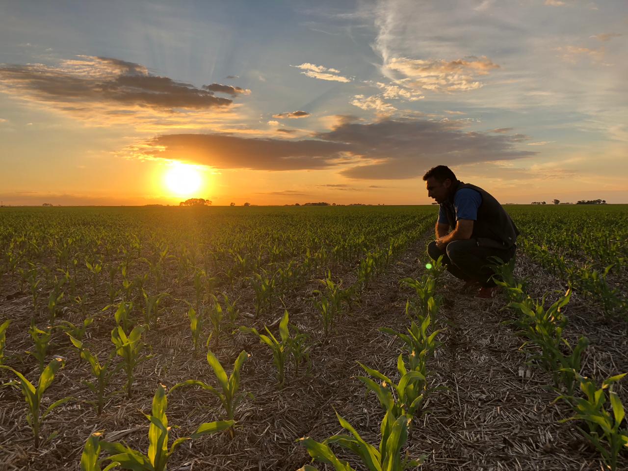 Escenario agrícola 2026: buen arranque de cultivos invernales y fuerte preocupación por la falta de lluvias
