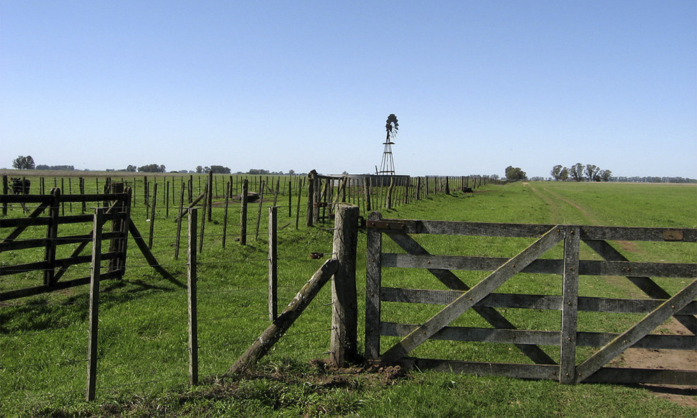 Sube el valor de la tierra rural en Argentina: cuánto cuesta hoy la hectárea en las zonas más demandadas