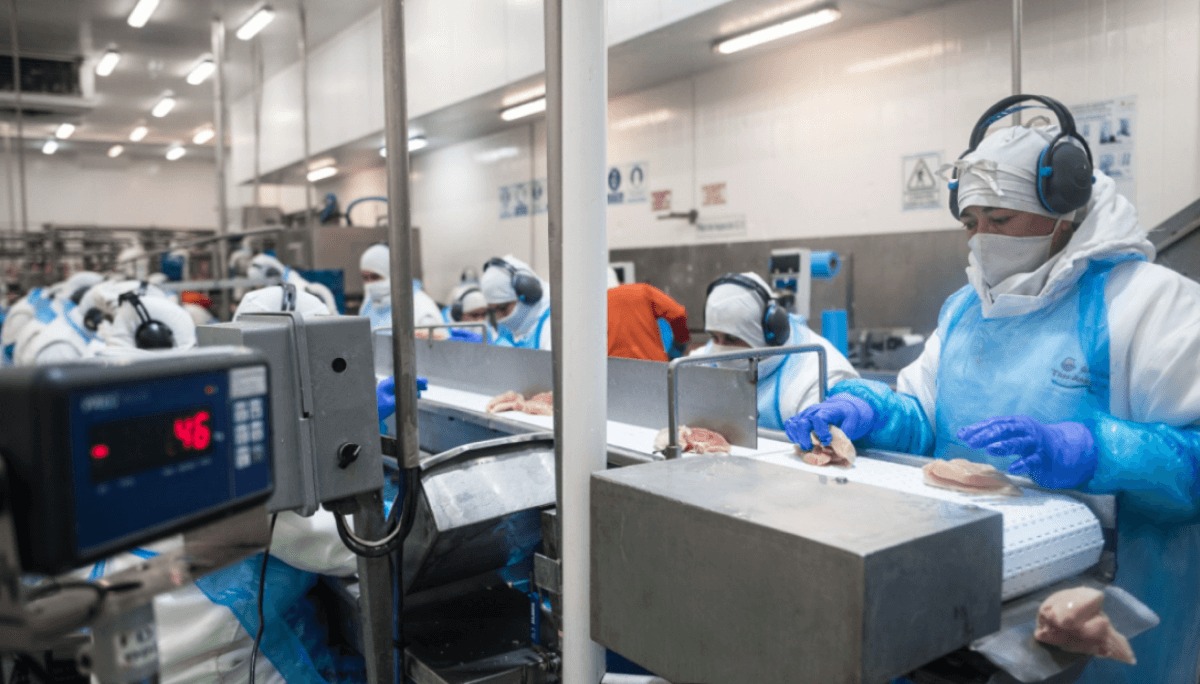 La carne aviar argentina regresa al mercado europeo en marzo