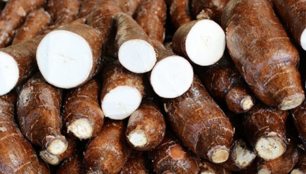 La mandioca lidera el crecimiento de exportaciones en 2025