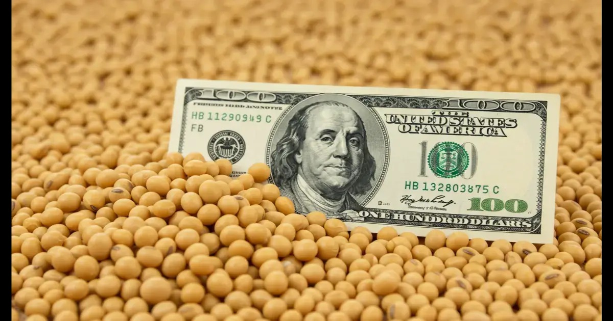 Aumento del 15% en el precio de la soja nueva gracias a menores retenciones