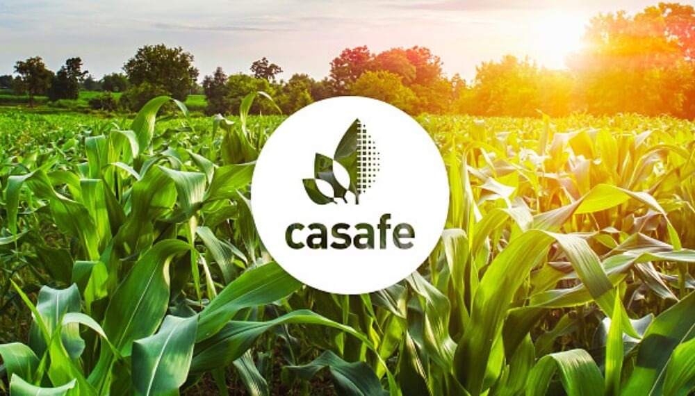 CASAFE renueva sus autoridades y acelera una agenda estratégica para una agricultura más sostenible e innovadora