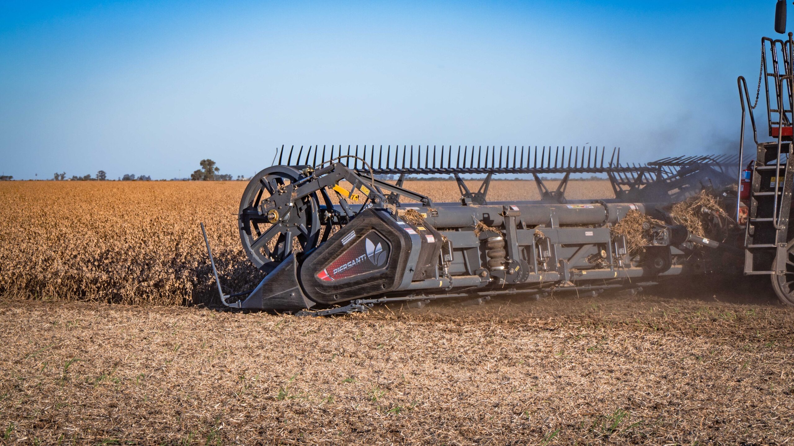 Piersanti celebra sus 40 años y apuesta fuerte de cara al futuro