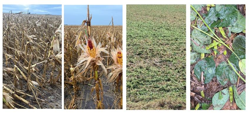 Punto de inflexión para la región: el agua llegó, pero hubo tormentas brutales