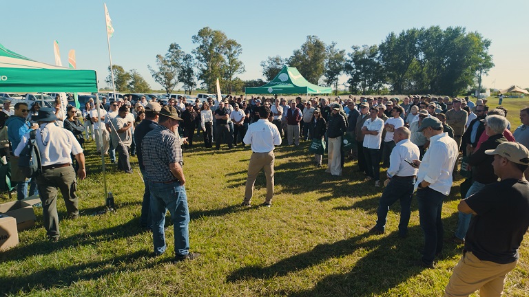 DONMARIO presenta su nueva generación de soja en Chacabuco en la previa de Expoagro