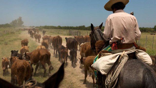 Optimismo y confianza: 63% de los productores agrícolas creen que es buen momento para invertir