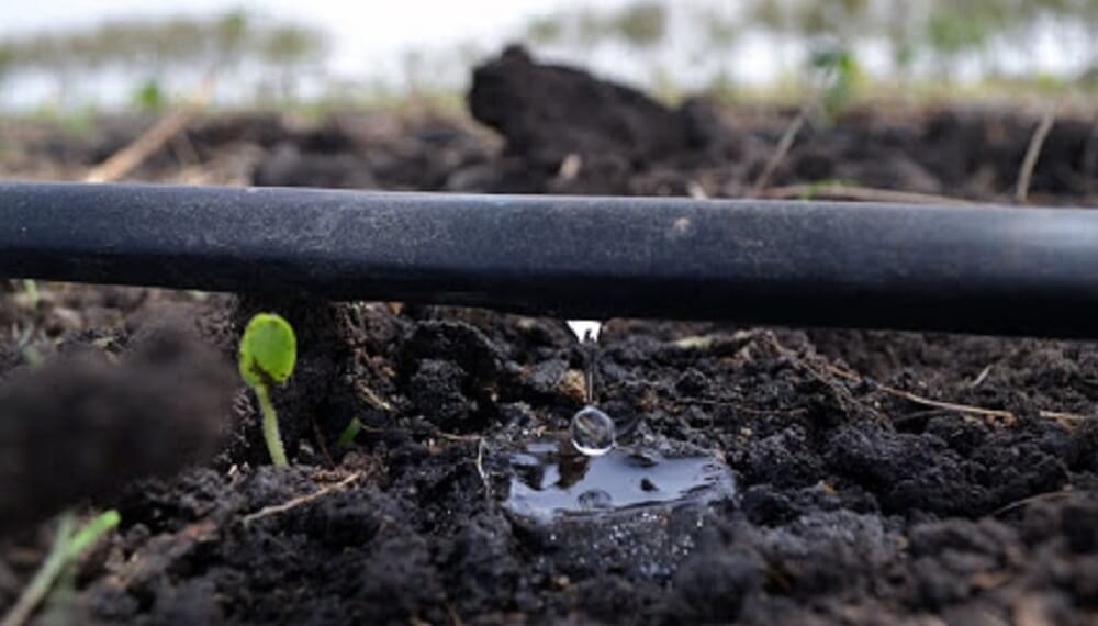 Dia mundial del agua: 