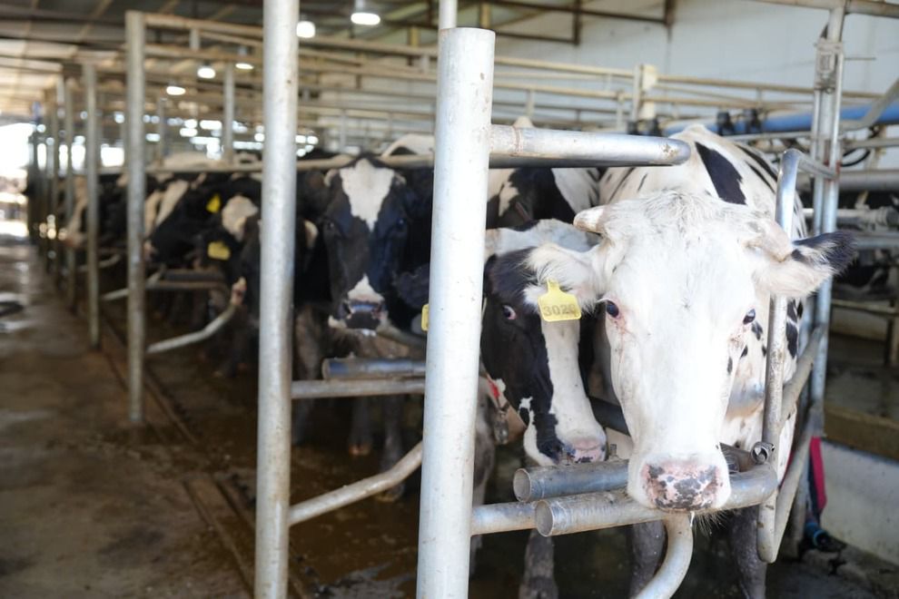 Ambiente entregó el primer certificado de Registro de Huella de Carbono a una industria láctea