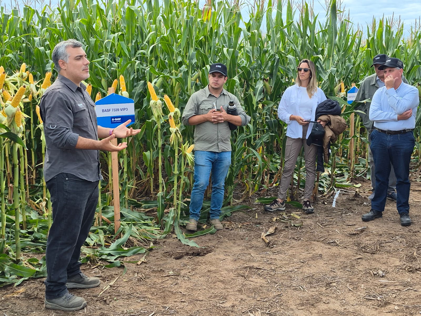 BASF realiza su Día de Campo con más de 100 productores y fuertes anuncios en semillas, herbicidas y agricultura digital