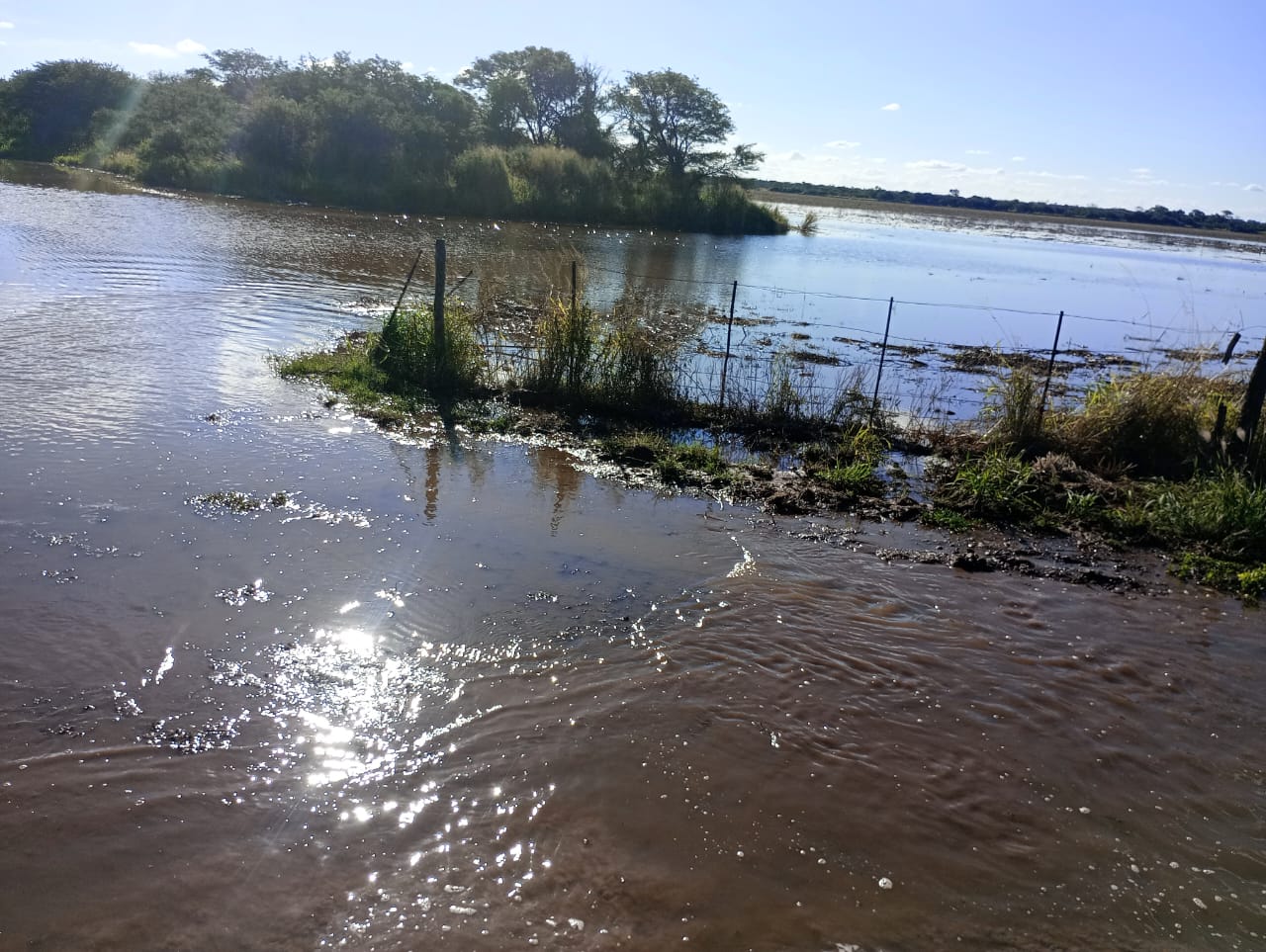 En el sudeste de  Santiago del Estero reclaman urgente la emergencia ante las inundaciones generalizadas con pérdidas casi totales