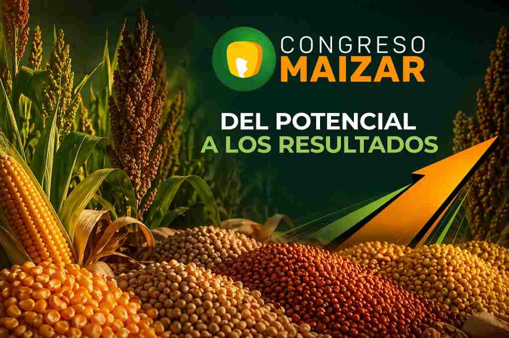 El Encuentro anual de la Cadena del Maíz y el Sorgo se prepara para debatir el desarrollo en Argentina
