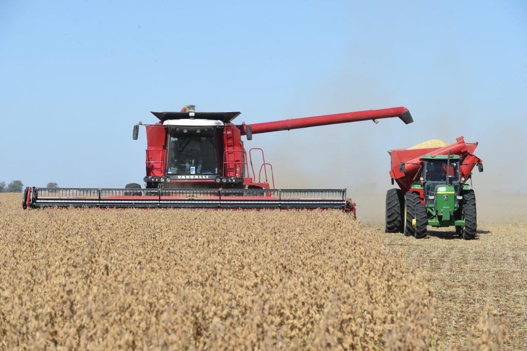 Afectada por las lluvias, la actividad de la cadena agropecuaria cayó en abril pero se mantuvo en niveles elevados