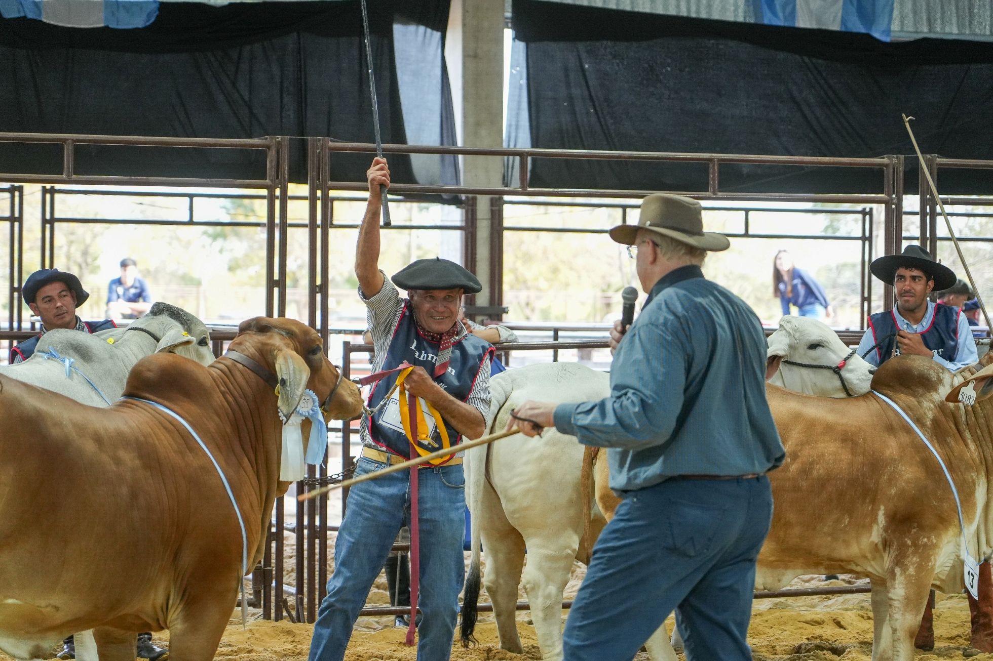 La Exposición nacional Brahman 2026 arranca con éxito