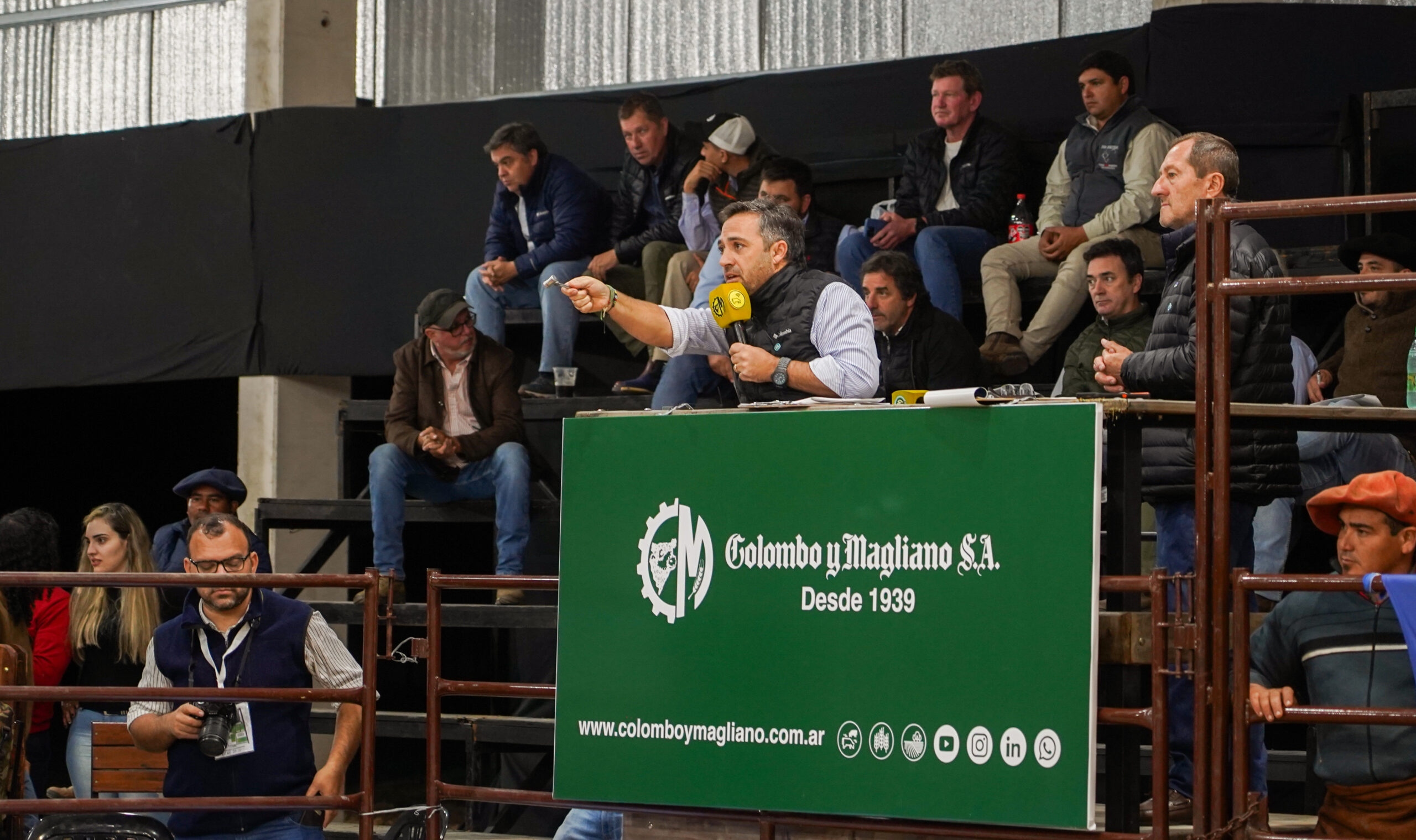 Expo Brahman de Corrientes: ¡$40 millones por el 50% del Gran Campeón!