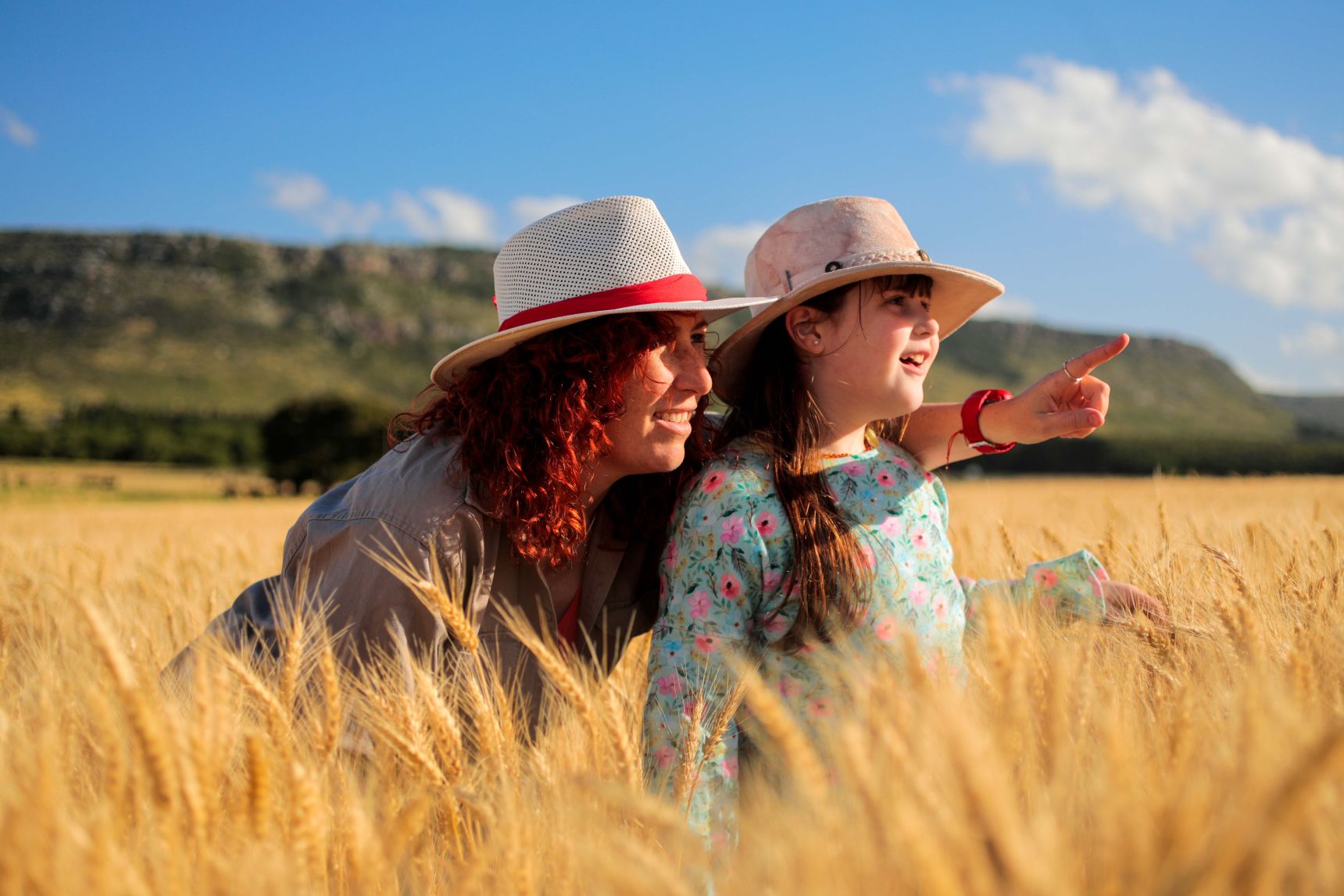 Día Mundial del Medio Ambiente: cómo la innovación agrícola permite producir más alimentos cuidando los recursos naturales en la Argentina