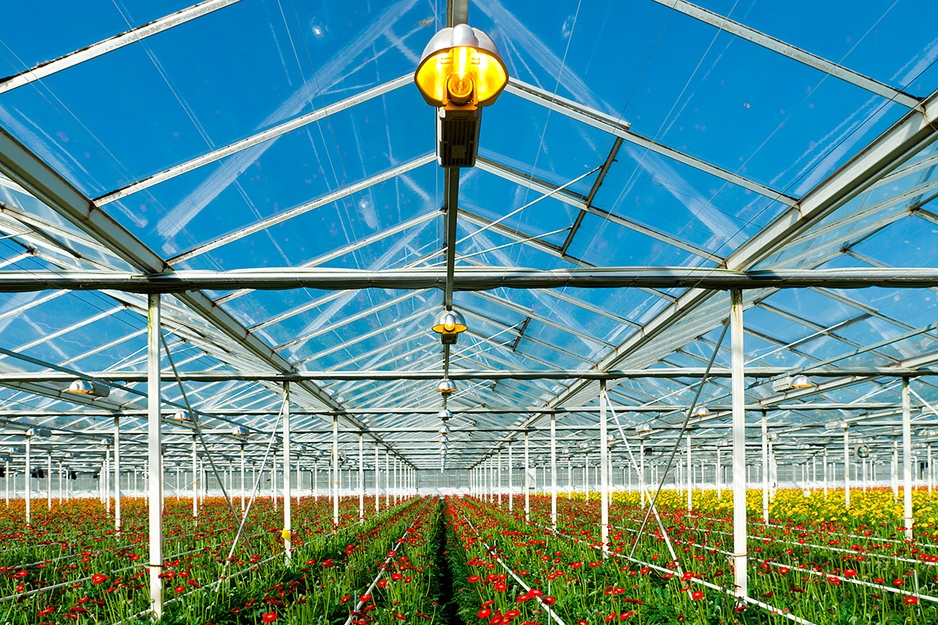 Bell Ville Florece: construye su primer invernadero para producir