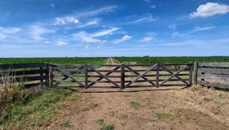  Volvió a fracasar el intento de reformar la Ley de Tierras por el reclamo de FAA