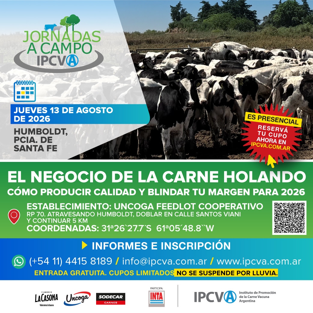 IPCVA en Humboldt: “El negocio de la carne Holando: cómo producir calidad y blindar tu margen”
