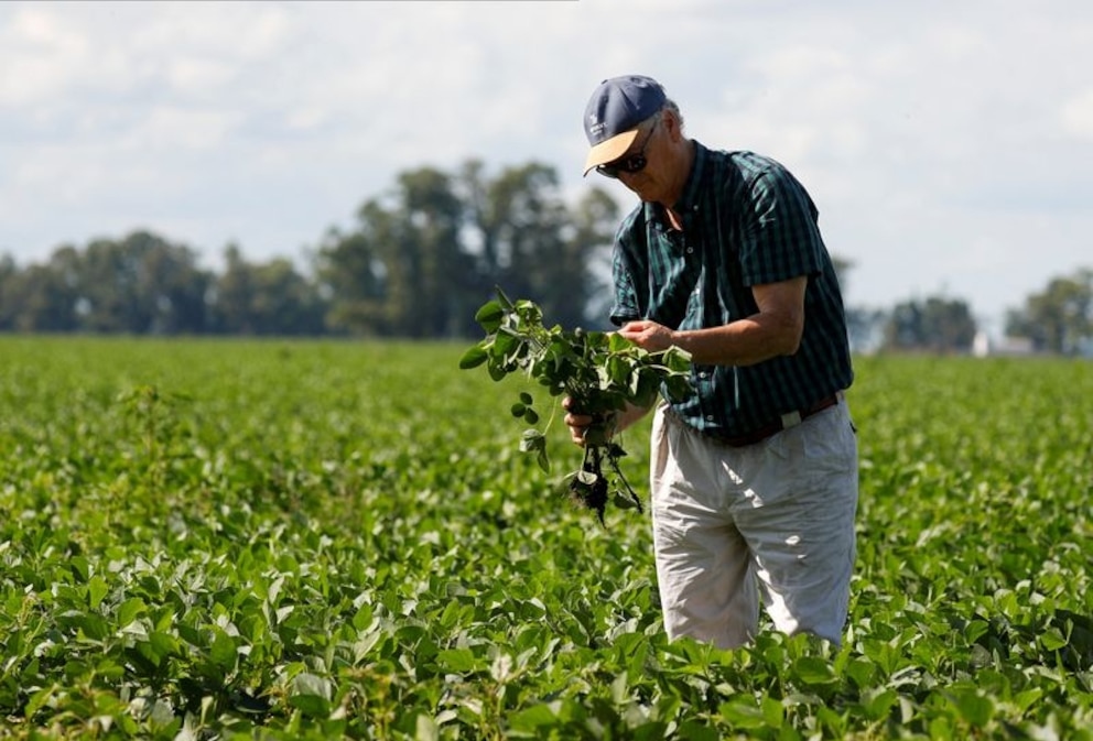 Orgullo agropecuario: Argentina celebra el Día del Agrónomo y Veterinario