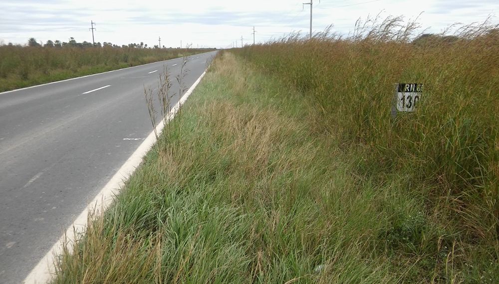 Buscan autorizar siembra al costado de rutas para frentistas de la región