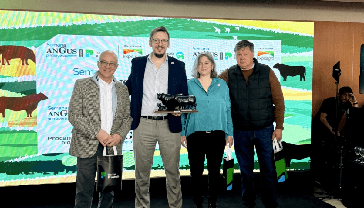 Vuelve la Semana Angus a Cañuelas con remates y genética del 21 al 25 de septiembre
