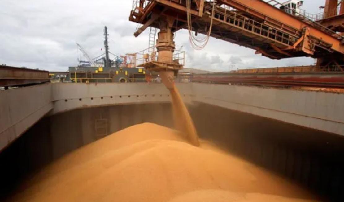 Récord exportador para el agro argentino: el maíz gana terreno y se consolida entre los más competitivos