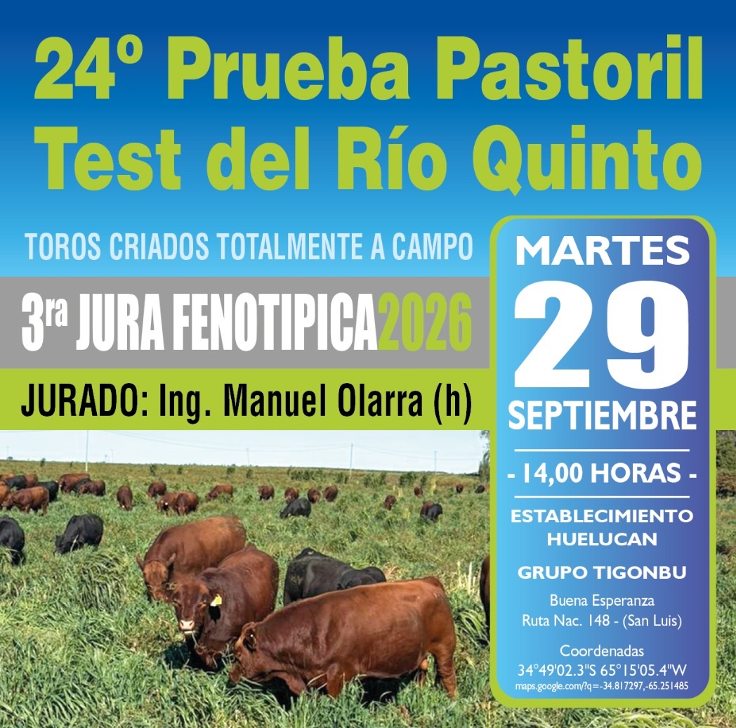 Tercera jura fenotípica 2026: la Prueba Pastoril del Río Quinto con 55 toros de alto nivel