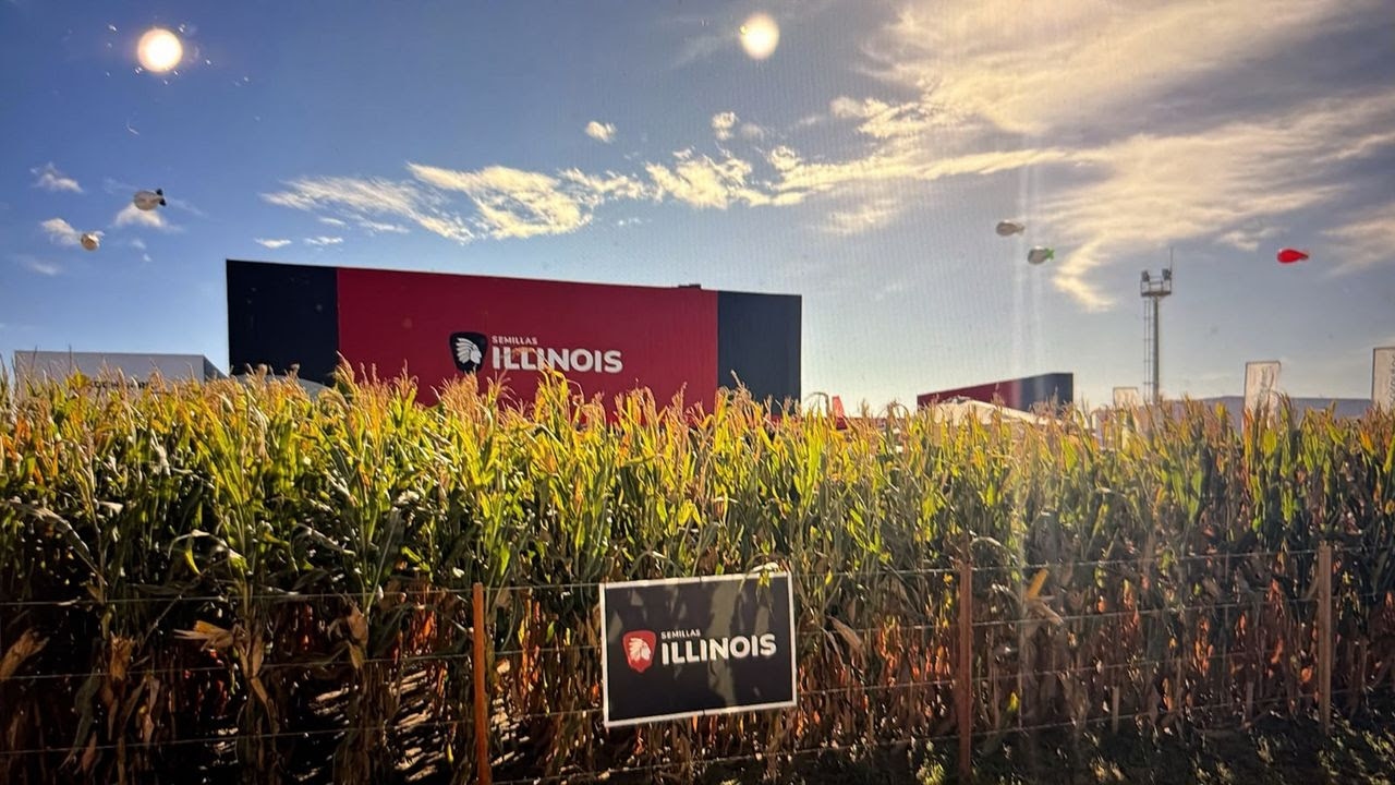 ILLINOIS Semillas presenta en Córdoba el híbrido tropical más corto