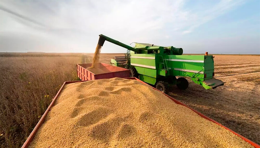 El agro podría aportar un récord exportador de US$ 42.200 millones en 2027 Niño por medio