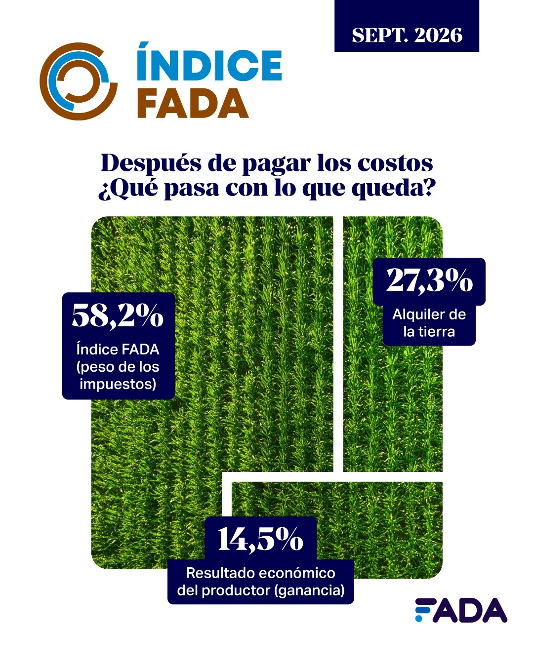 Índice FADA: los impuestos absorben más de la mitad de la renta agrícola