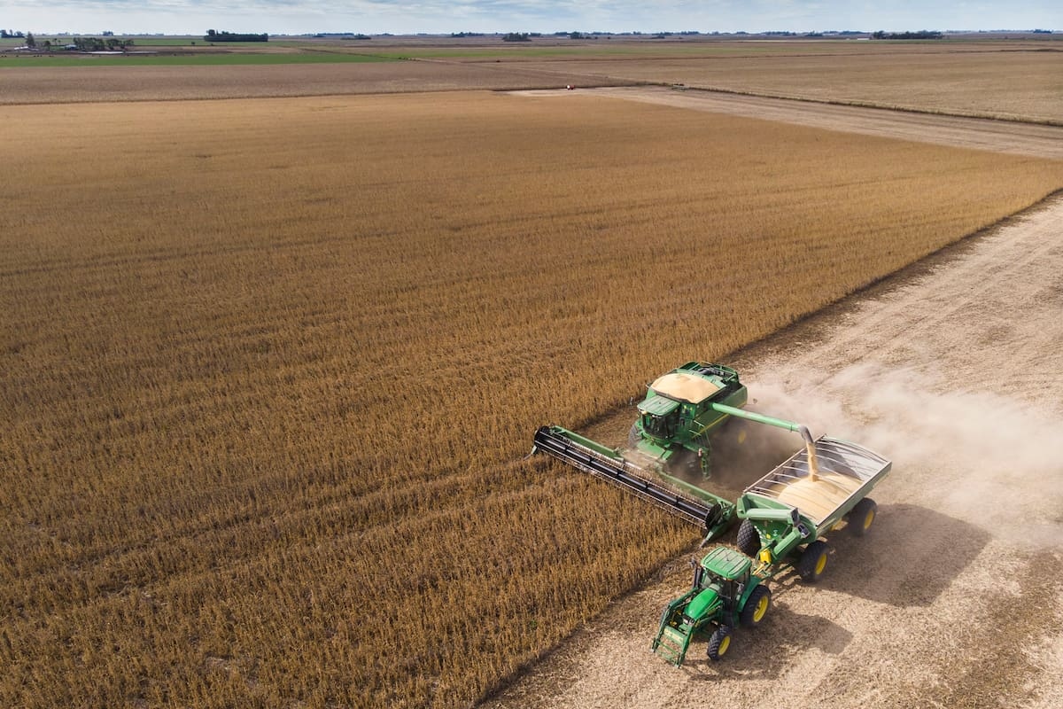 La actividad agropecuaria alcanzó un nuevo máximo impulsada por la producción primaria