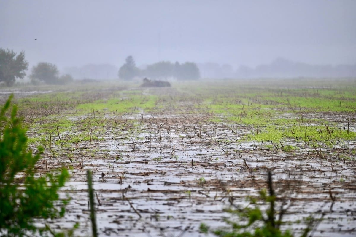Las lluvias dejaron importantes registros en Córdoba: Huinca Renancó encabezó con 66,4 milímetros