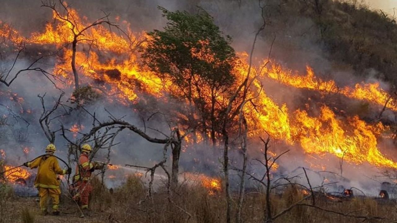 Incendios forestales en la provincia de Chubut afectan amplias zonas de la Patagonia argentina