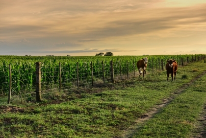 Galicia lleva las mejores soluciones financieras y digitales a la Rural de Palermo