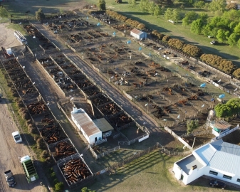 La Rural de Jesús María firmó un acuerdo de colaboración con la Asociación Rural de Salliqueló