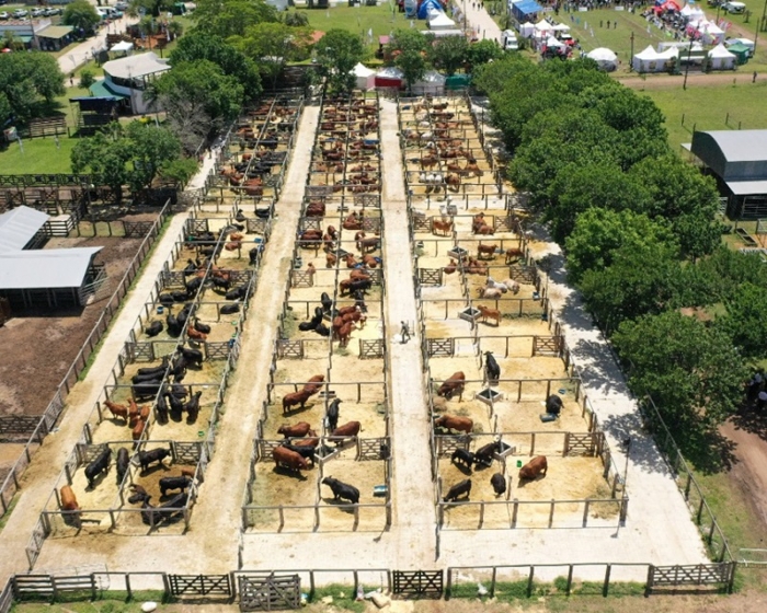 Hasta el 29 de octubre: la Exposición Nacional de Razas abrió la tranquera en la Rural de Corrientes

