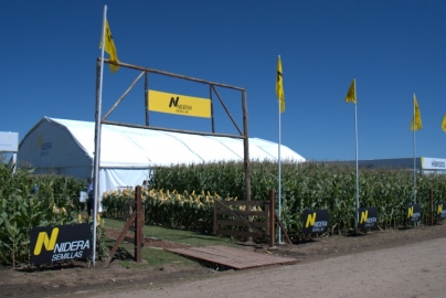 Para sentirse como en casa: Nidera lleva el lote a Expoagro