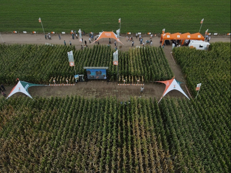 KWS presentó la evolución de la genética 
