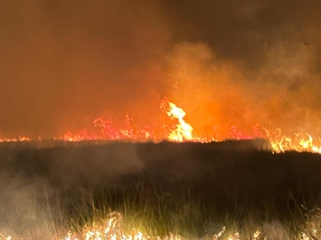 Ya son 520 mil hectáreas afectadas por los incendios en Corrientes creciendo en 20 mil hectáreas por día que se están quemando