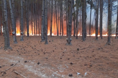 Dura respuesta del campo a Juan Cabandié por culpar a productores de los incendios: “Se quiere sacar la responsabilidad”