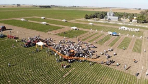 9º Circuito del MANI : Un encuentro con el cultivo cordobés
