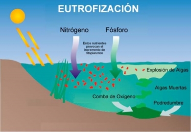 Recuperar SRL es una de las 5 fábricas a nivel mundial de Micro o Nano fertilización