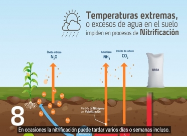 Recuperar SRL es una de las 5 fábricas a nivel mundial de Micro o Nano fertilización