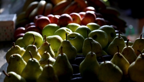 Productores de frutas del Alto Valle realizaron un tractorazo para expresar el rechazo a las políticas oficiales